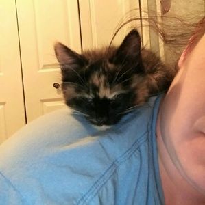 Meet your Posher, Jerrah